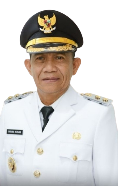 Nanang Adriani Nanang Adriani