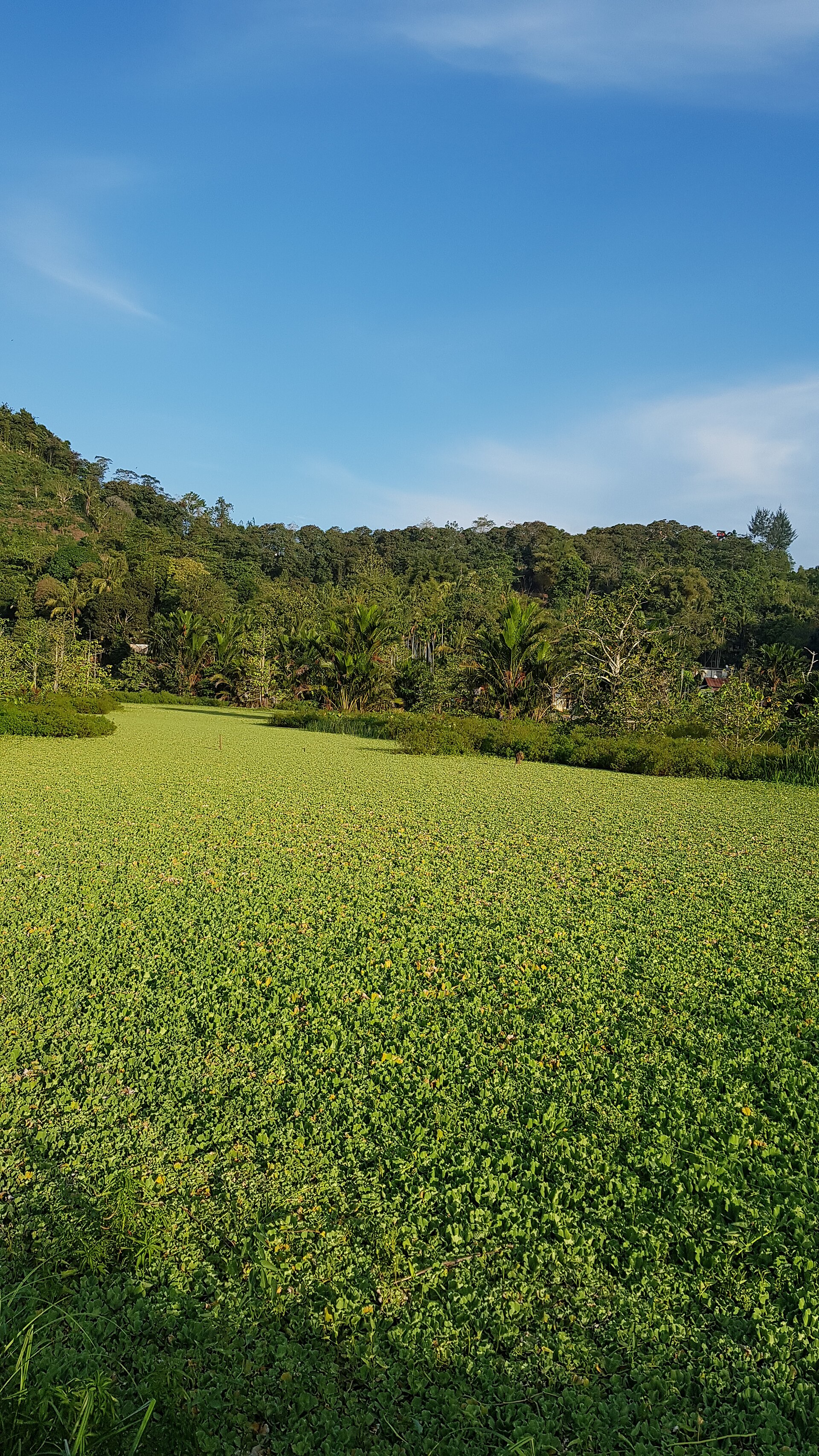 Abepura, Jayapura Abepura, Jayapura