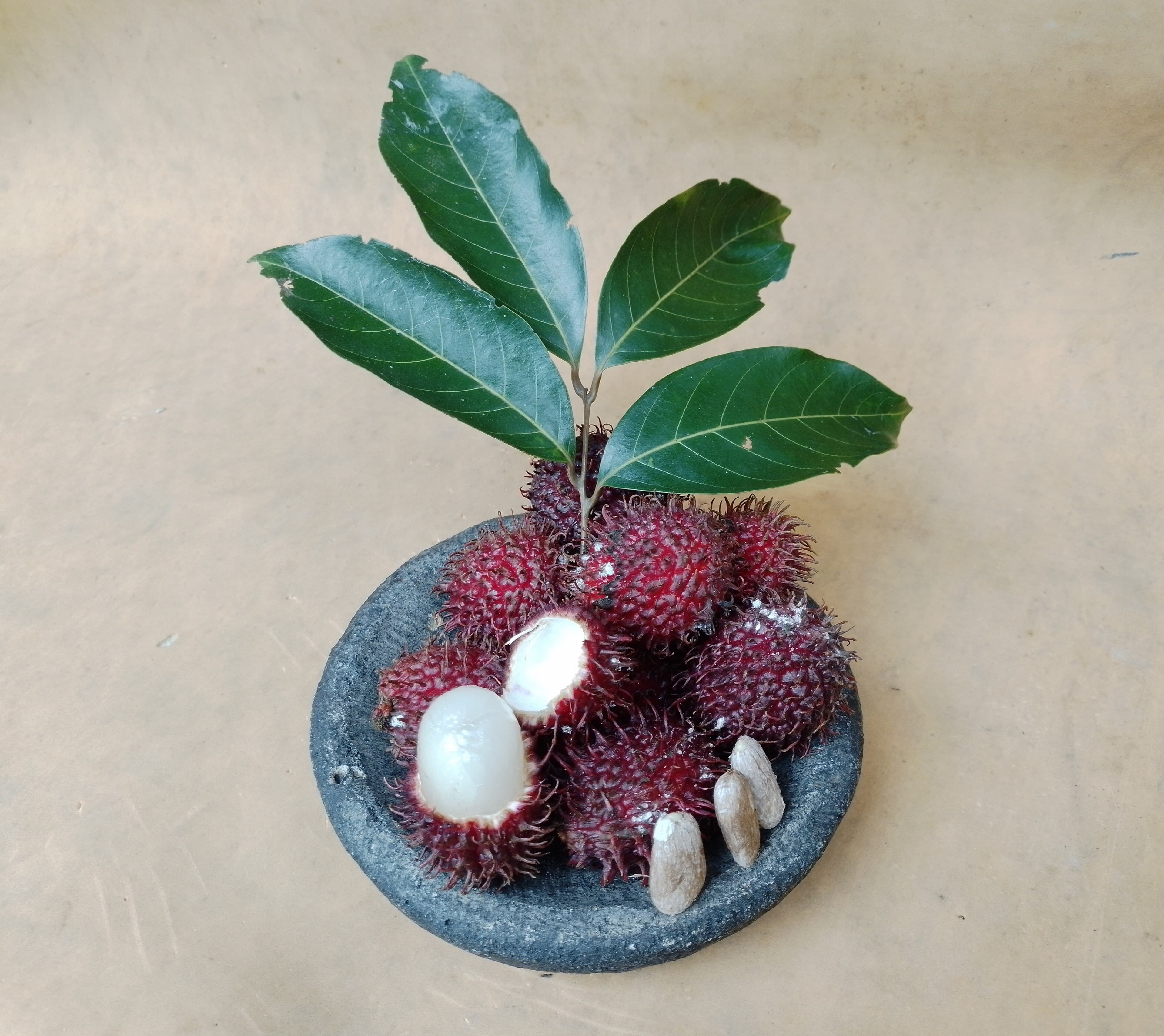 Rambutan Rambutan