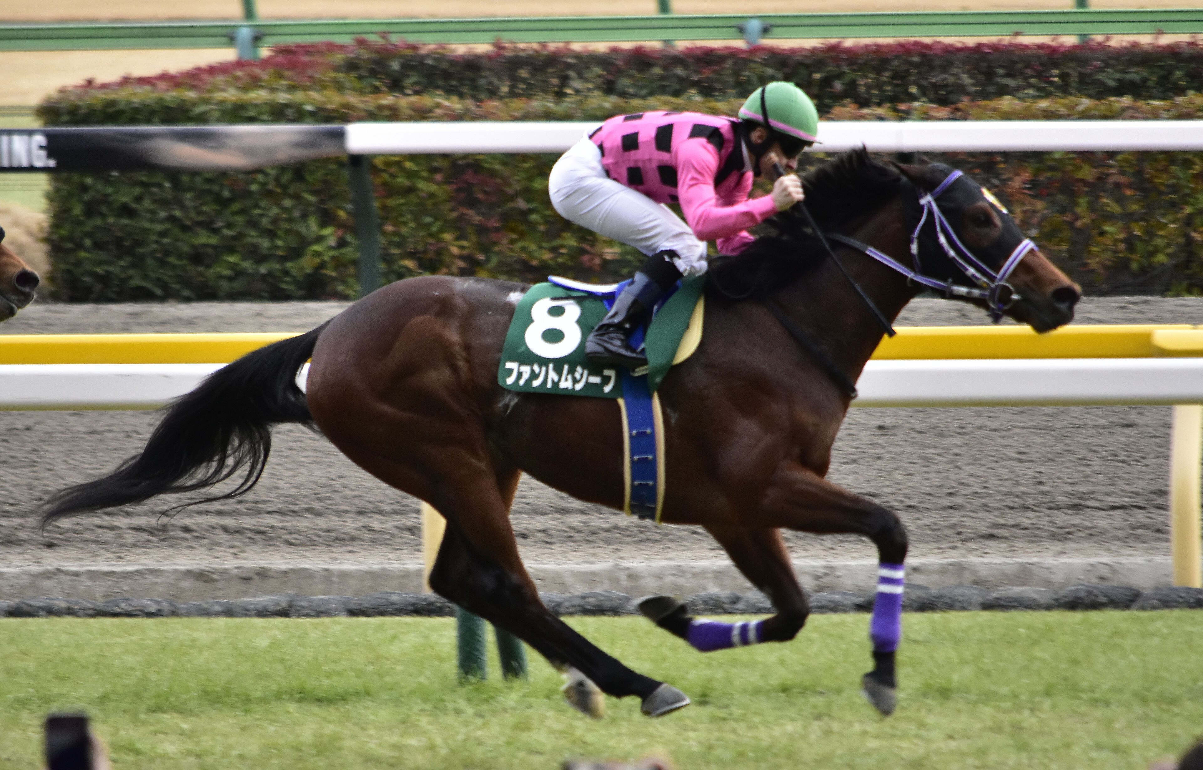 Kyodo Tsushin Hai Kyodo Tsushin Hai