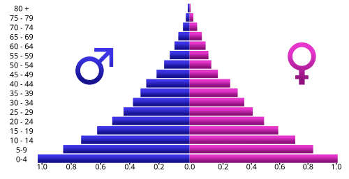 Piramida penduduk Piramida penduduk