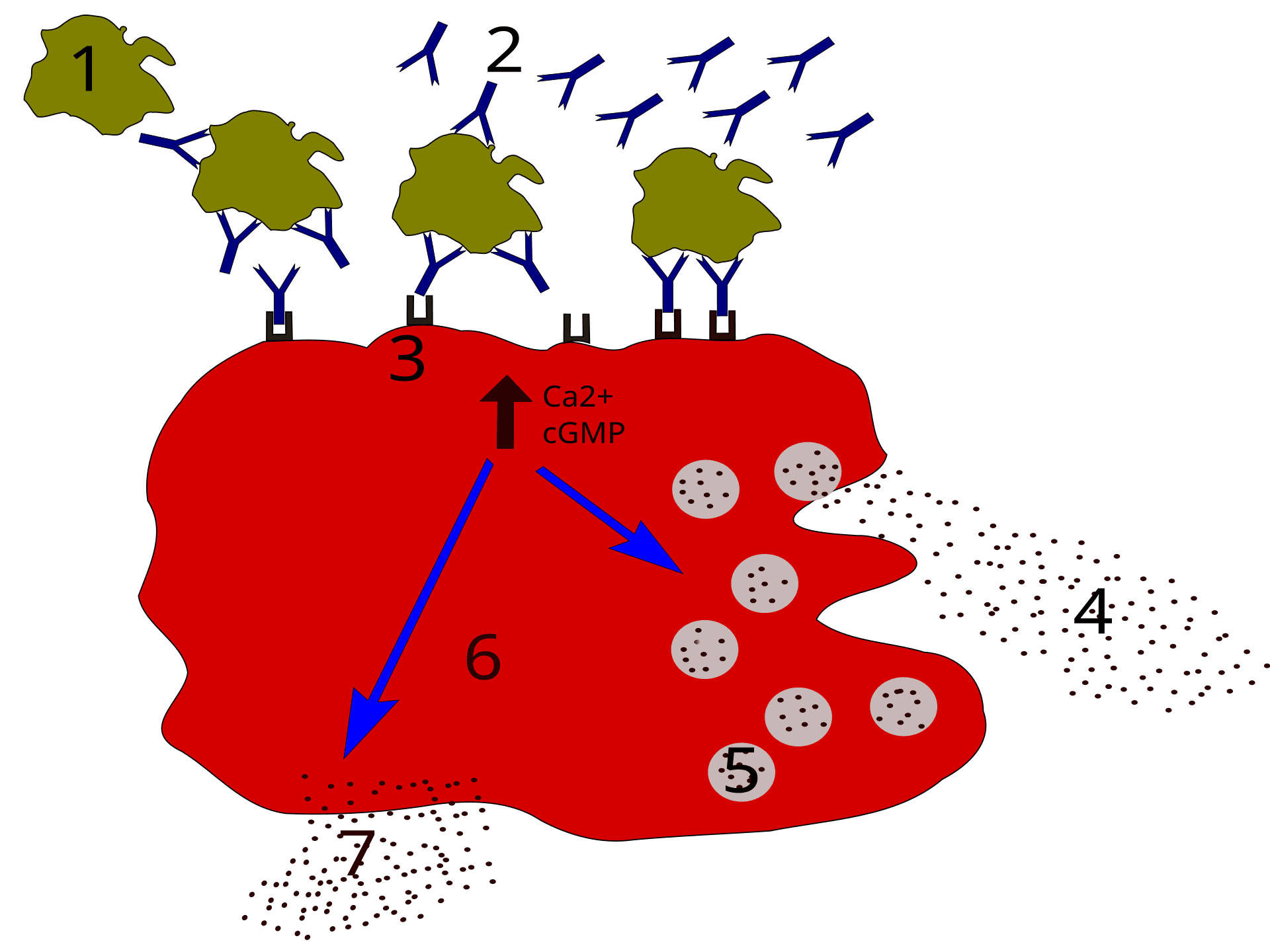 Hipoalergenik Hipoalergenik