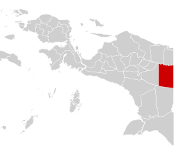 Pemilihan umum Bupati Pegunungan Bintang 2020 Pemilihan umum Bupati Pegunungan Bintang 2020