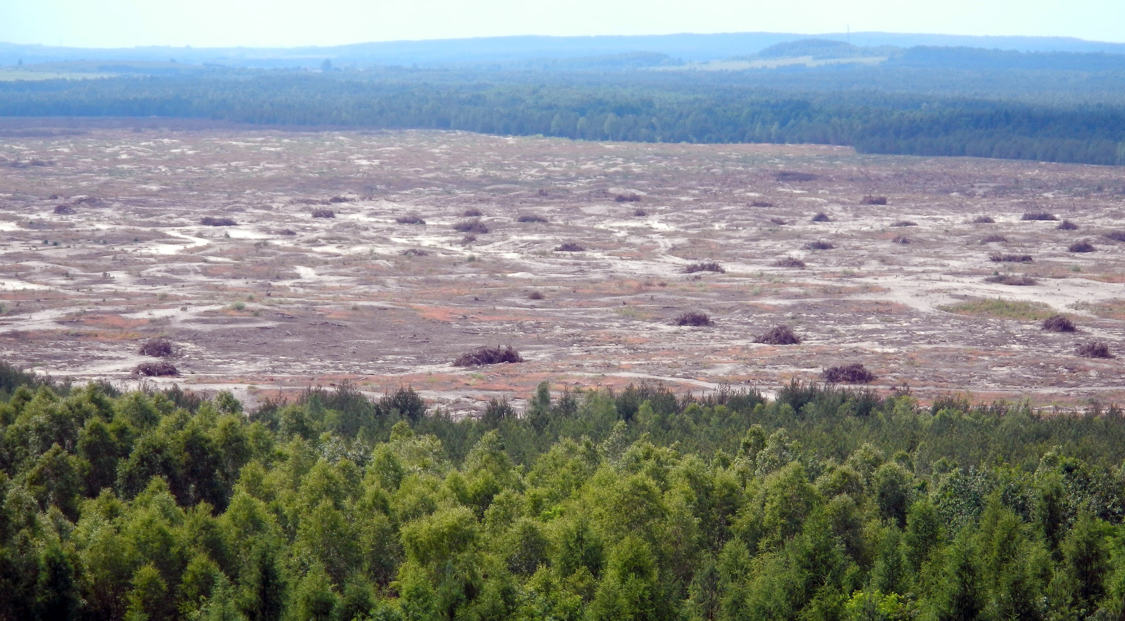 Gurun Błędów Gurun Błędów