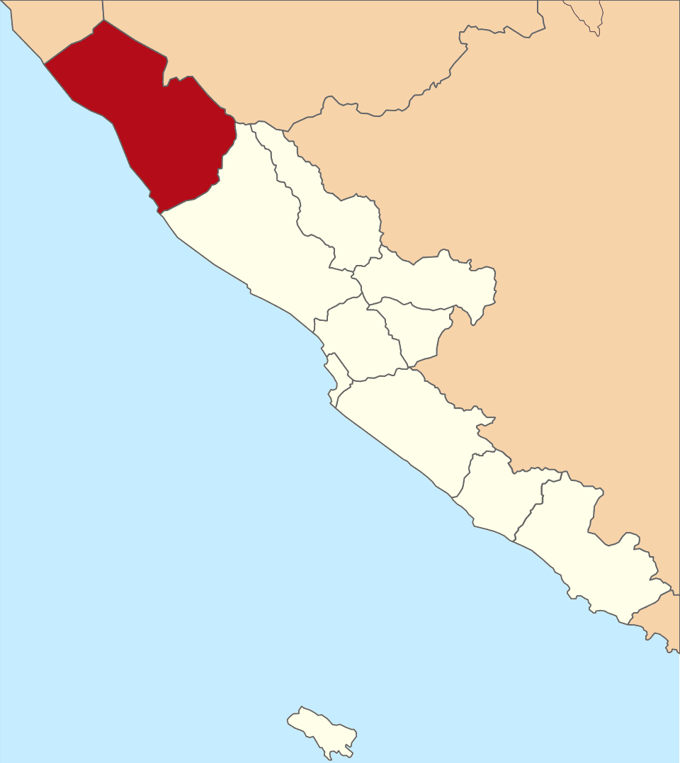 Pemilihan umum Bupati Mukomuko 2020 Pemilihan umum Bupati Mukomuko 2020