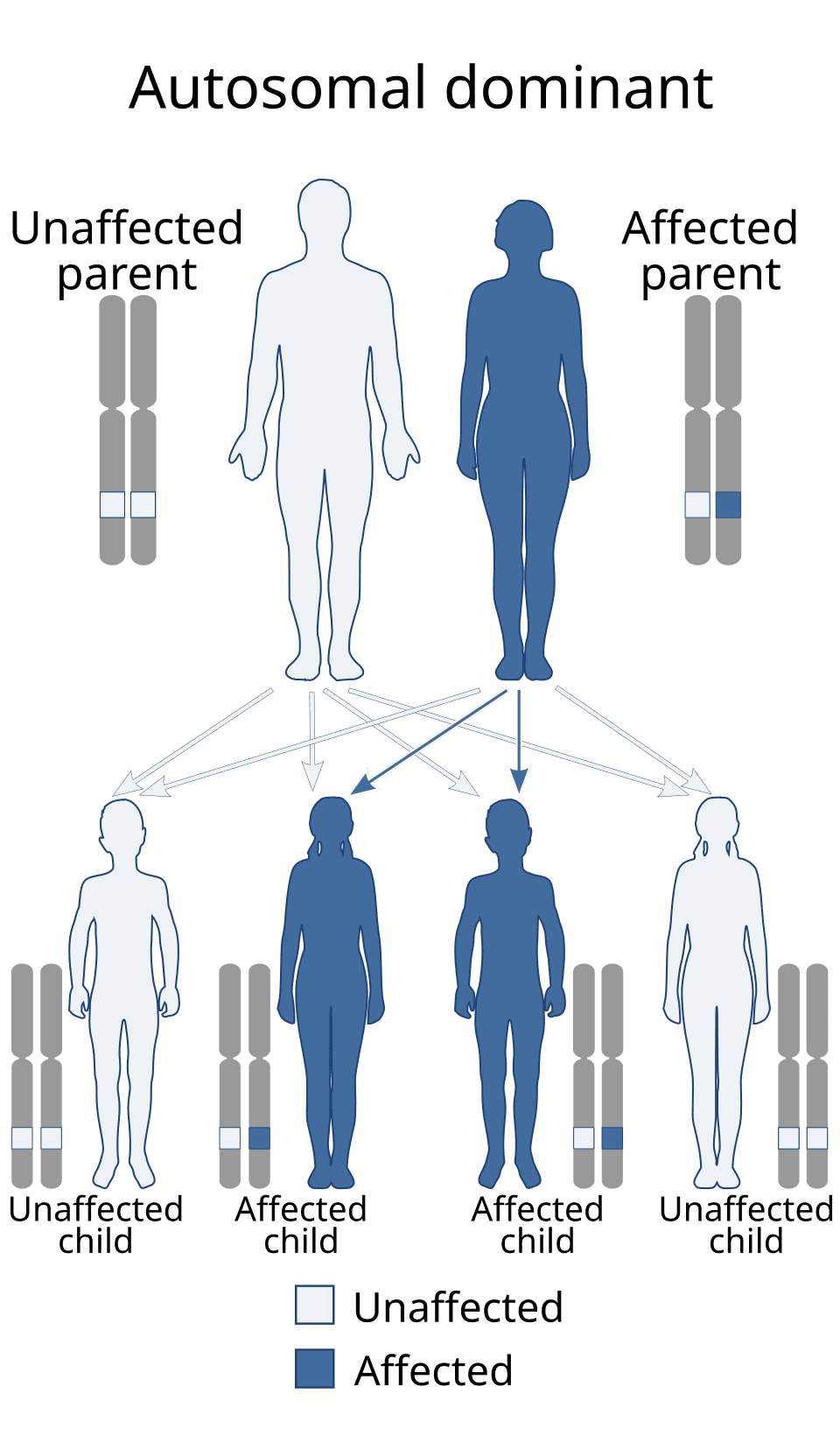 Penyakit von Willebrand Penyakit von Willebrand