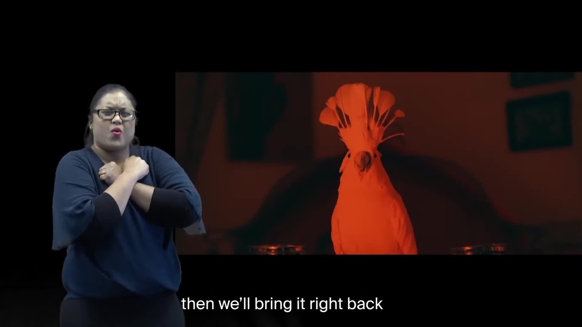 Bahasa Isyarat Selandia Baru Bahasa Isyarat Selandia Baru