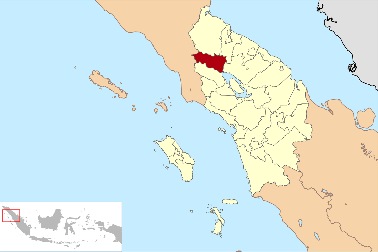 Pemilihan umum Bupati Karo 2020 Pemilihan umum Bupati Karo 2020