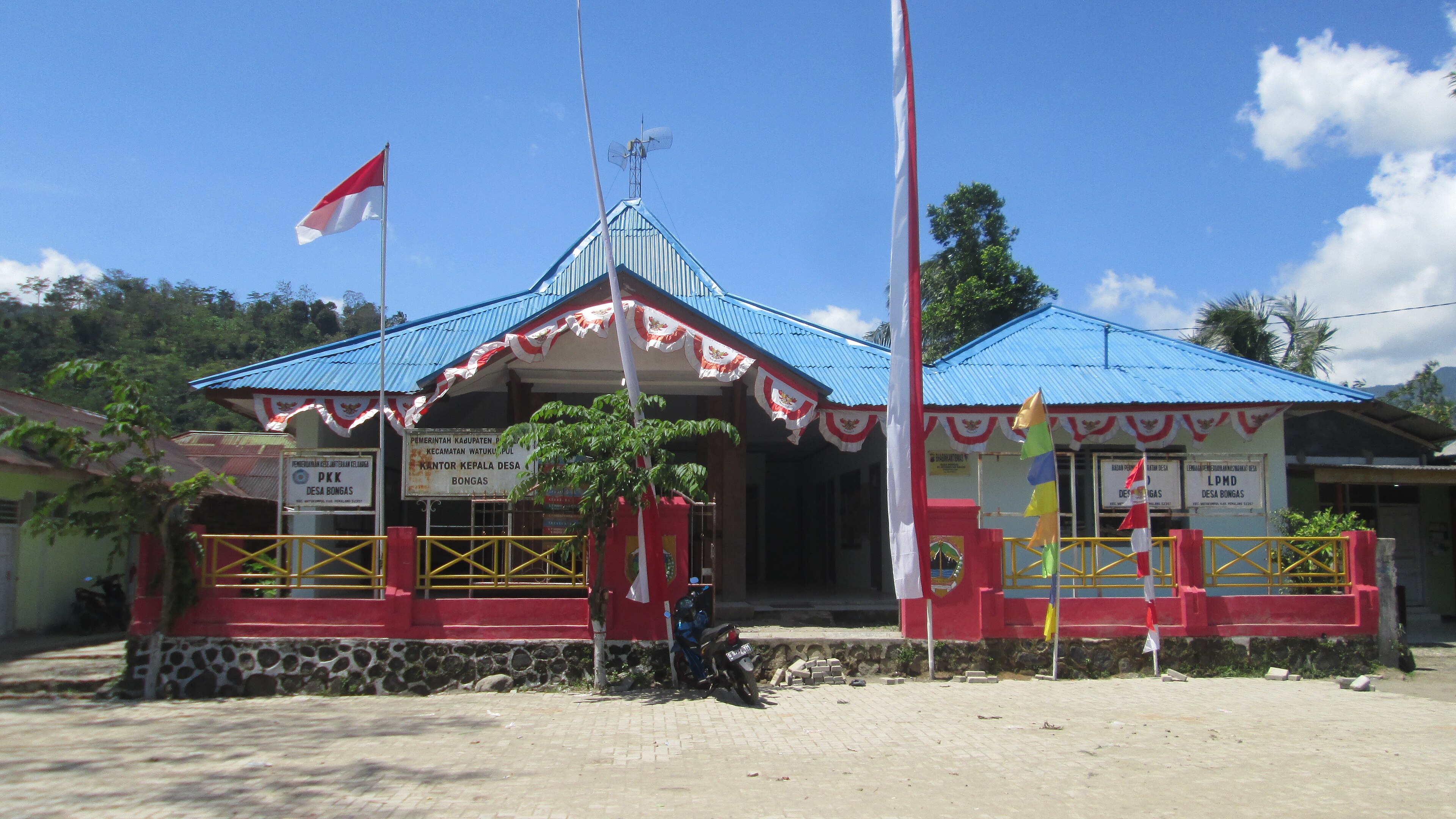 Bongas, Watukumpul, Pemalang Bongas, Watukumpul, Pemalang