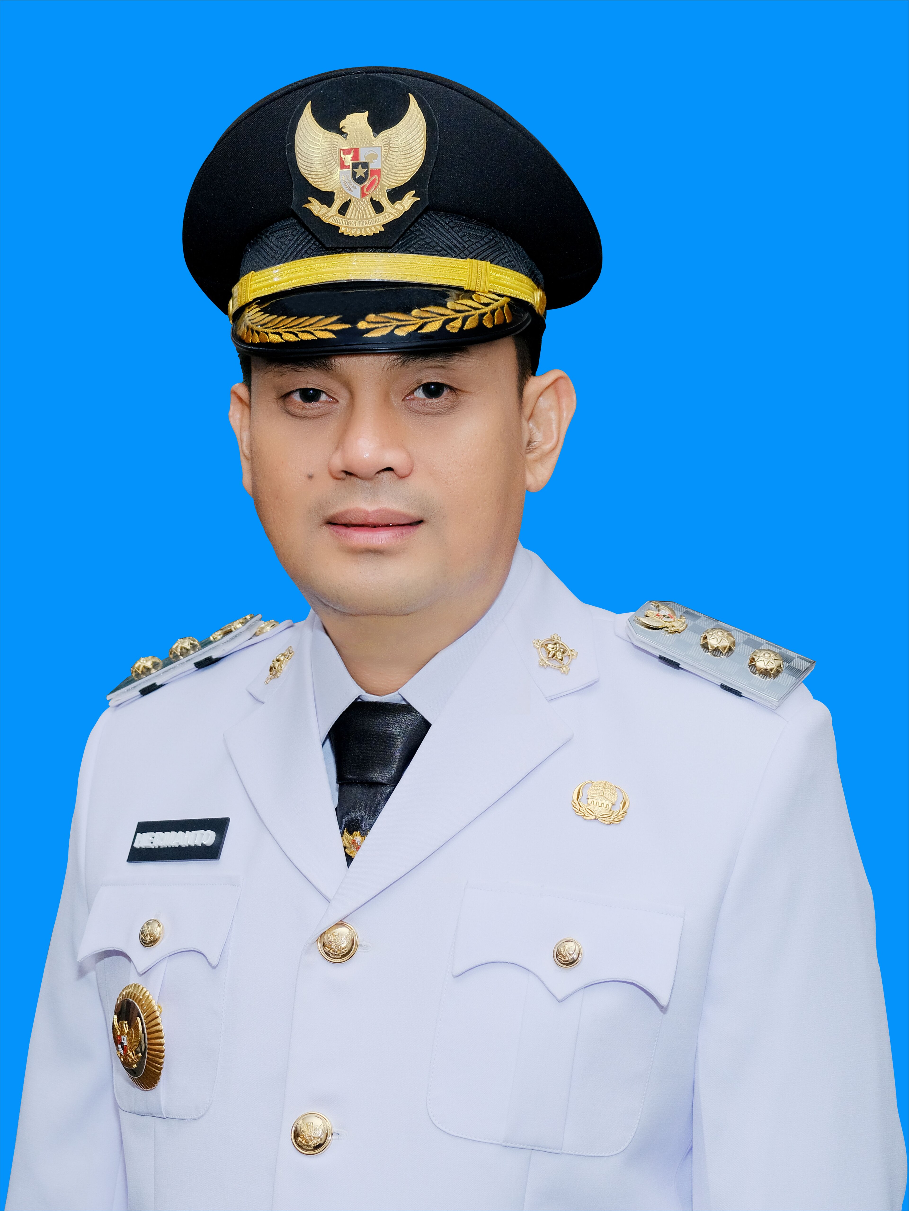 Daftar Wakil Wali Kota Parepare Daftar Wakil Wali Kota Parepare