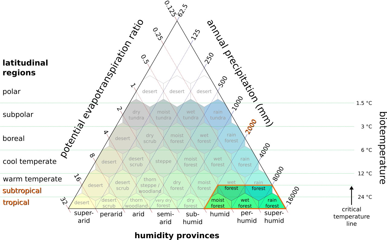 Hutan tropis dan subtropis basah berdaun lebar Hutan tropis dan subtropis basah berdaun lebar