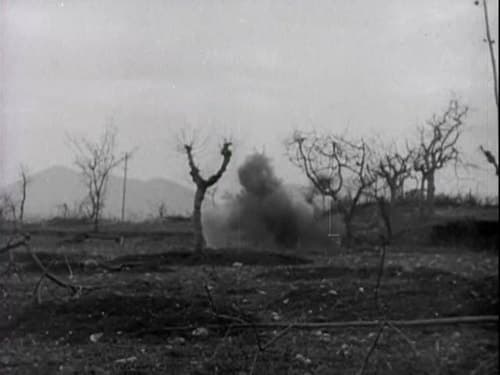 The Battle of San Pietro The Battle of San Pietro