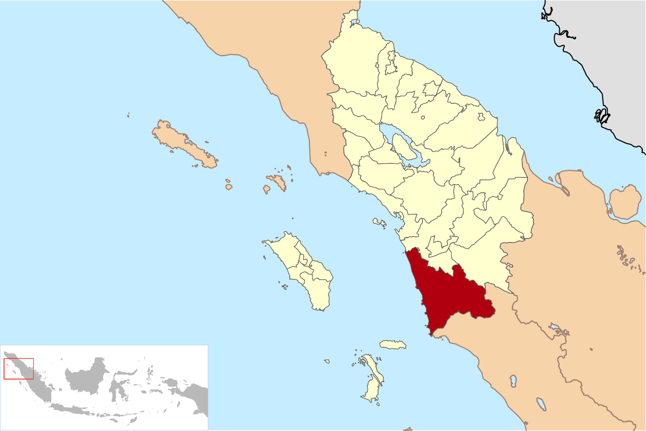 Pemilihan umum Bupati Mandailing Natal 2020 Pemilihan umum Bupati Mandailing Natal 2020