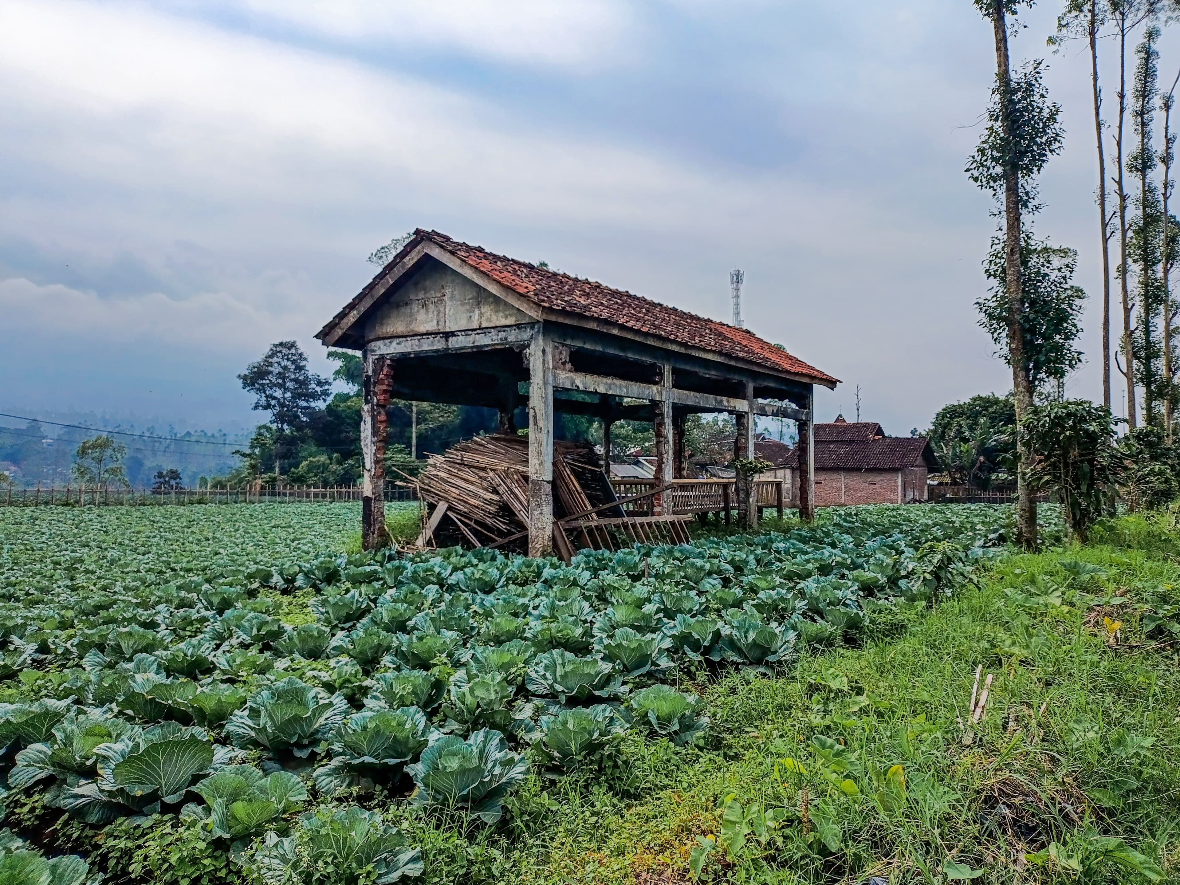 Halte Patrol Girang Halte Patrol Girang