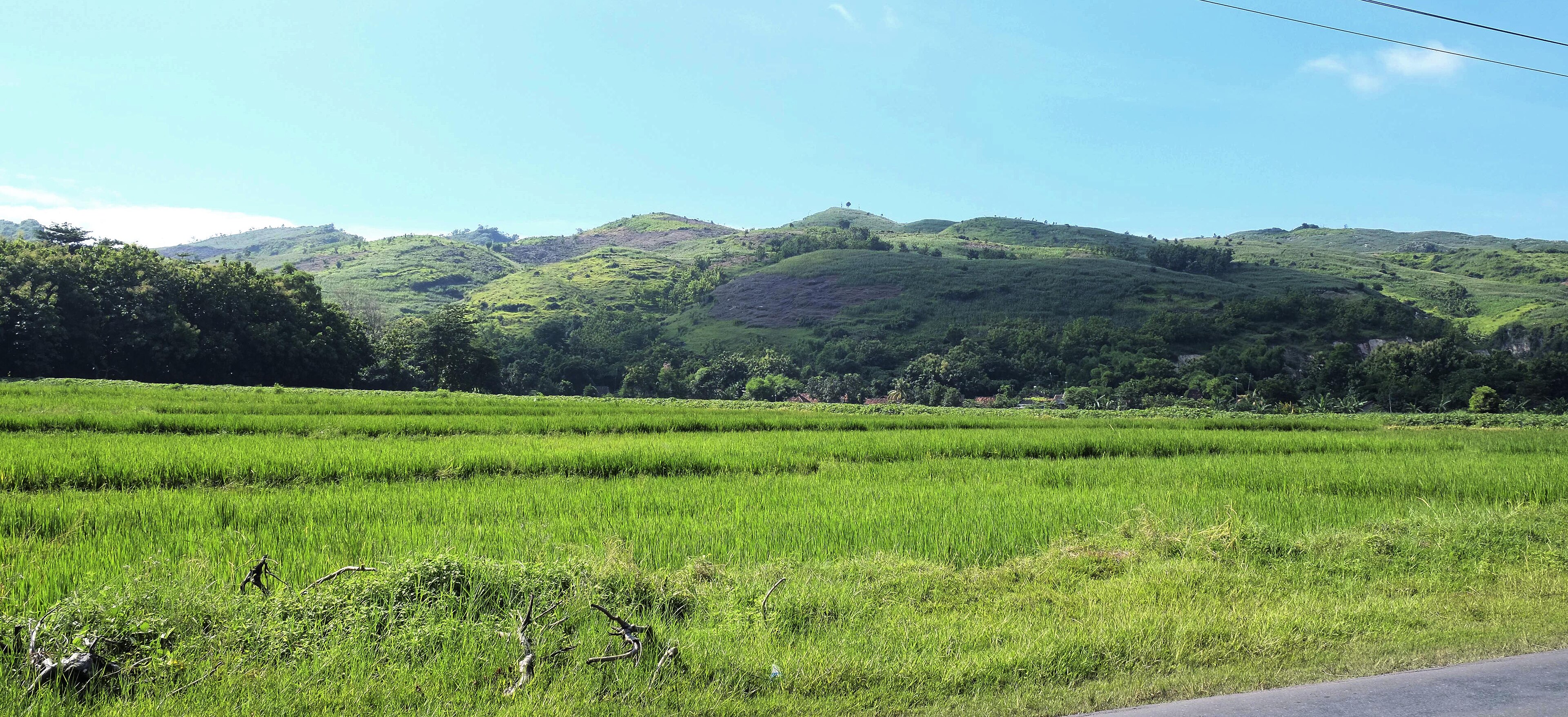 Formasi Kabuh Formasi Kabuh