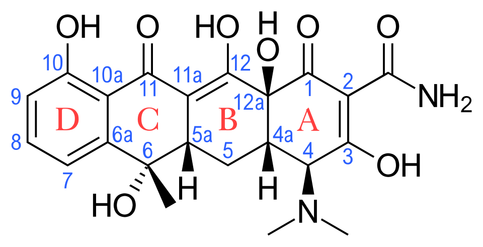 Antibiotik golongan tetrasiklina Antibiotik golongan tetrasiklina