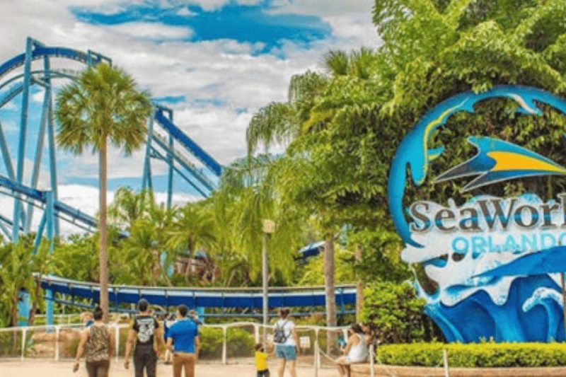 SeaWorld Orlando: Tempat Wisata Keluarga yang Menawarkan Pengalaman Unik