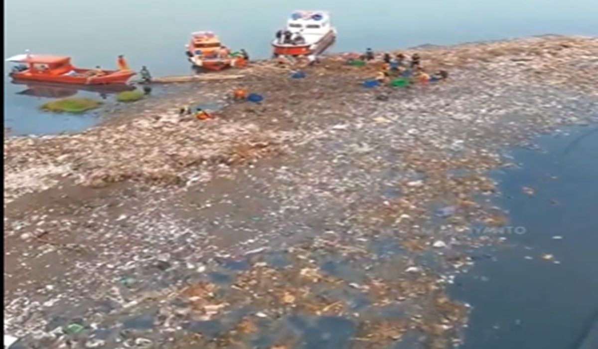 Viral 'Pulau Sampah' di Muara Angke, Pramono: Sudah dibersihkan
