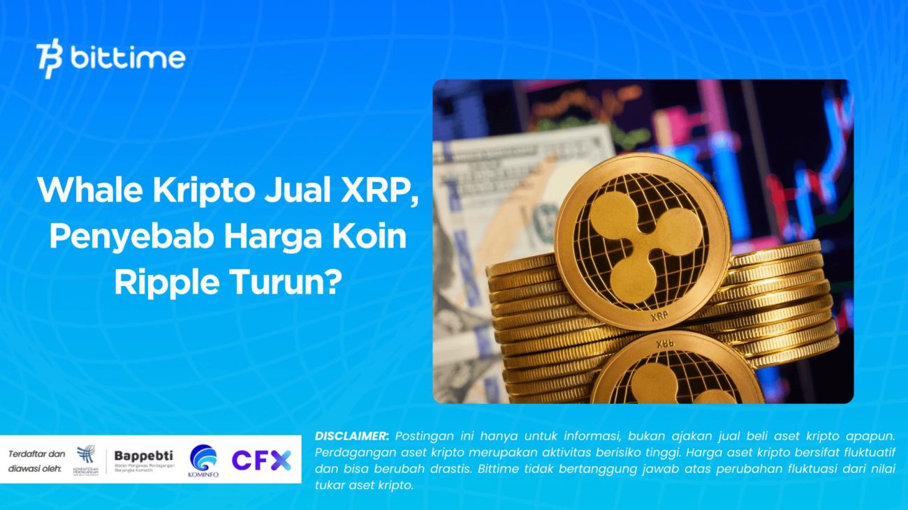 XRP Menghadapi Tekanan Jual yang Meningkat, Apa yang Harus Diperhatikan Investor?