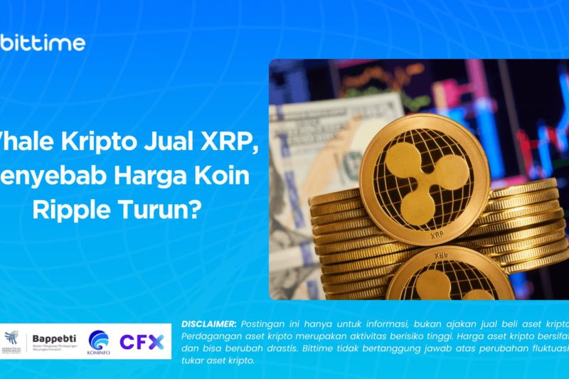 XRP Menghadapi Tekanan Jual yang Meningkat, Apa yang Harus Diperhatikan Investor?