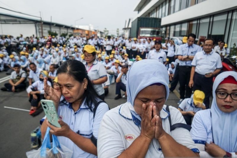 126 Ribu Pekerja Kena PHK, Apindo Dorong Pemerintah Reformasi UU Ketenagakerjaan