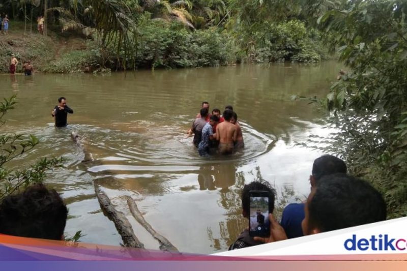 Bocah 12 Tahun Tewas Diterkam Buaya Saat Cuci Tangan di Tepi Sungai, Warga Sempat Berusaha Menyelamatkan