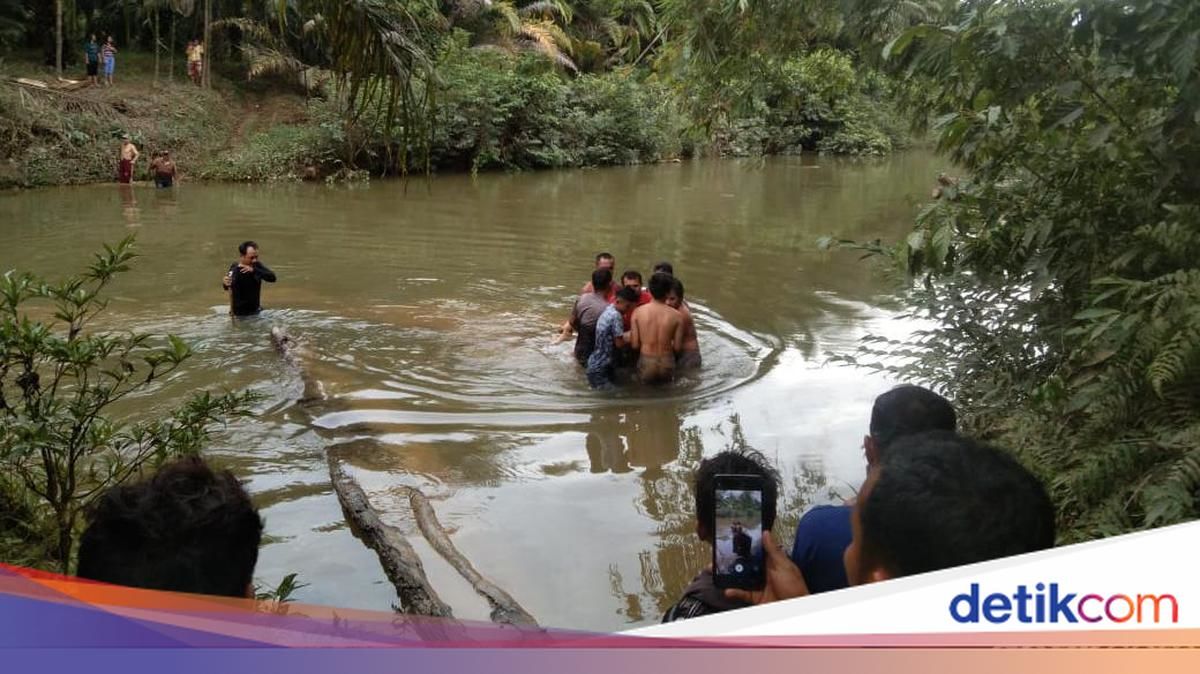 Bocah 12 Tahun Tewas Diterkam Buaya Saat Cuci Tangan di Tepi Sungai, Warga Sempat Berusaha Menyelamatkan