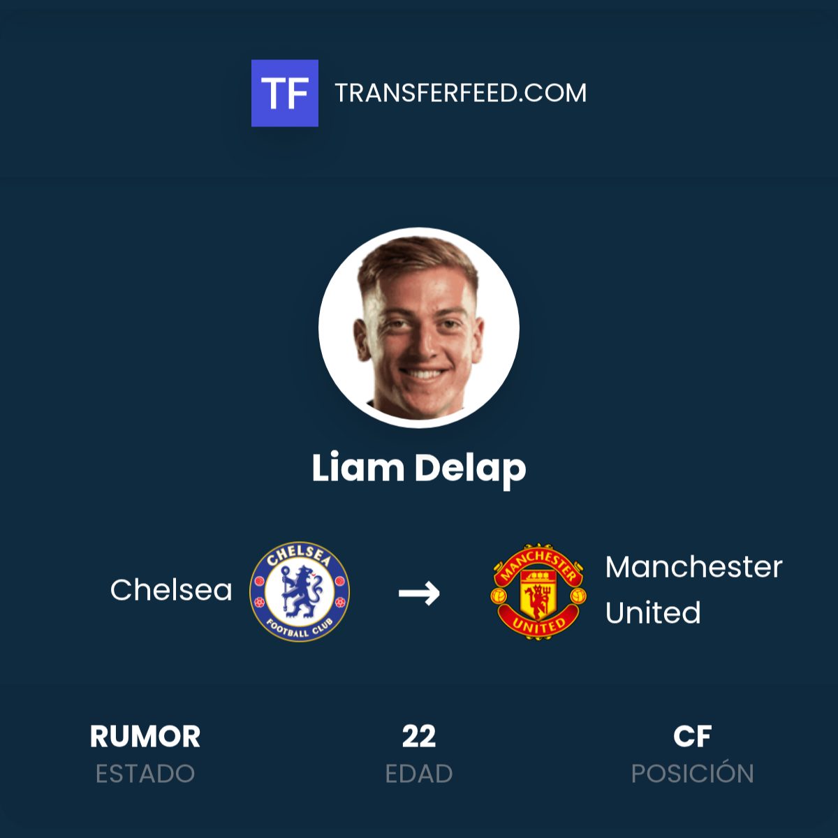 Bursa transfer Manchester United: Liam Delap out, Vlahovic hingga Watkins masuk radar buruan