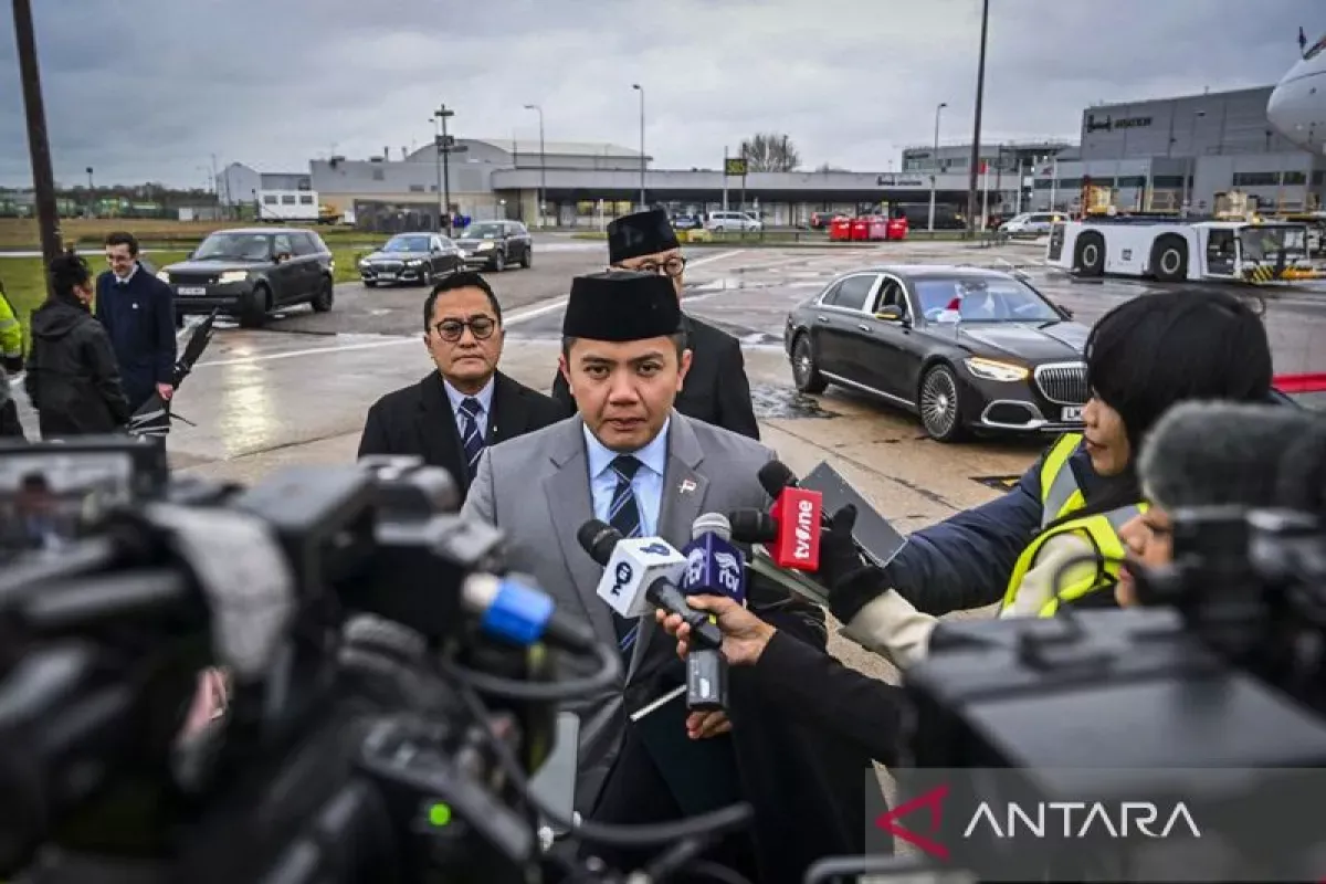 Celios Surati Russell Group, Minta Pertimbangkan Pendirian 10 Universitas Baru: Apa yang Terjadi?