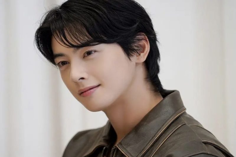 Cha Eun Woo Ajukan Banding Atas Penetapan Pajak yang Telah Dibayar: Kasus Pajak Senilai Ratusan Miliar Rupiah